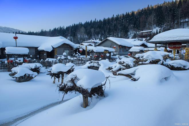 费【纯玩落地团】到雪乡旅游四日游跟团价龙8中国唯一入口到雪乡旅游攻略4天的花(图3)